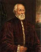 Domenico Tintoretto Portrait of a Gentleman oil painting artist